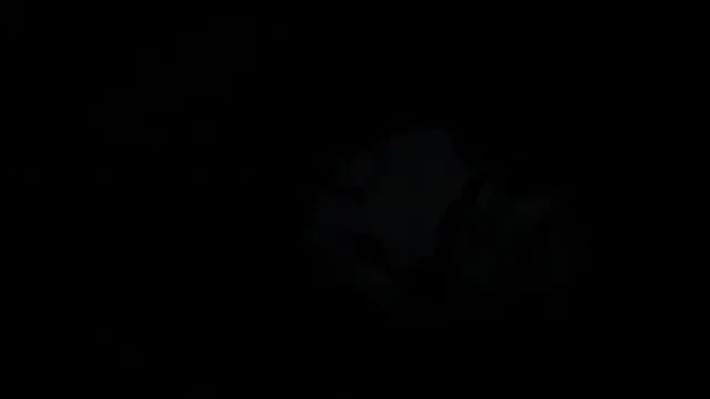 Rosea Champagne online show from 10.22.25