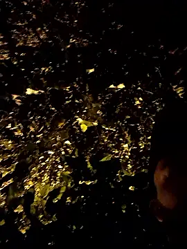 Klose1234 online show from 01.08.26