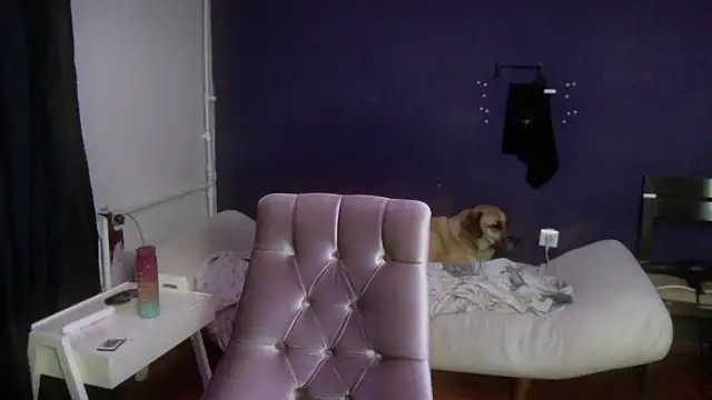 turkishTransEfsun online show from 10.02.25