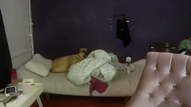 turkishTransEfsun online show from 11.03.25