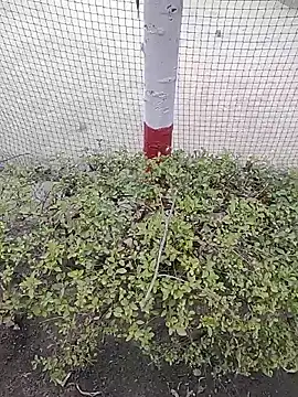 monty935 online show from 12.04.25