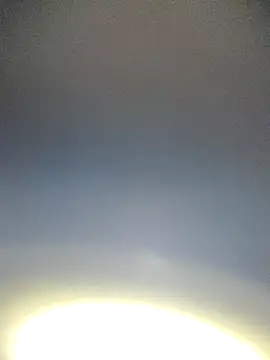 Yamamoto-Sado online show from 11.12.25