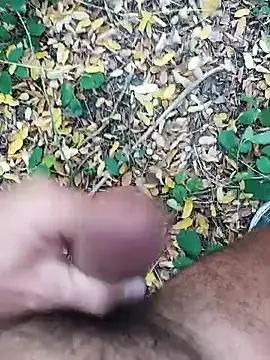 pegaso369 online show from 10.22.25