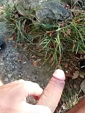 pegaso369 online show from 11.12.25