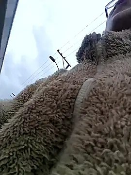 Engeelll online show from 03.18.26