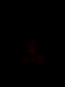 CoMay003 online show from 12.15.25