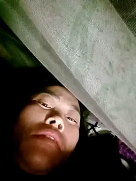 CoMay003 online show from 02.15.26