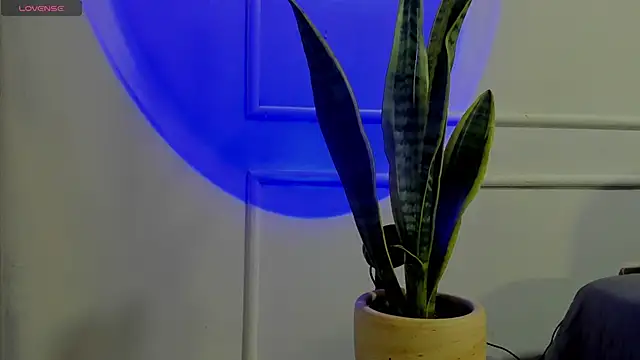 Ice Princess  online show from 10.02.25