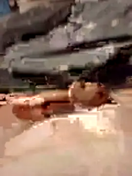 Anonimek942 online show from 11.29.25