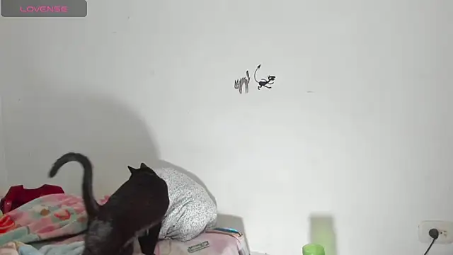 Raven Rouge  online show from 09.26.25