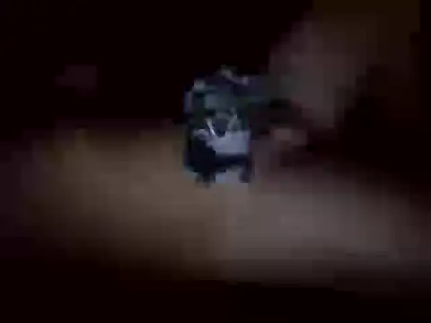 Snapshot of Nalguitas99 chatting on 10.23.25 Nalguitas99 online show from 10.23.25