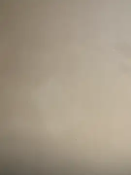 OrchidBae online show from 09.22.25