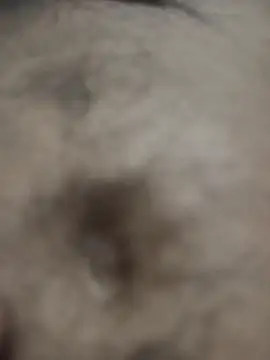 Hat-Raja77 online show from 10.08.25