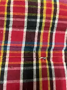 Snapshot of hamstar09 chatting on 10.17.25 hamstar09 online show from 10.17.25