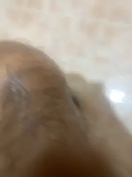 Binuthomas online show from 11.24.25