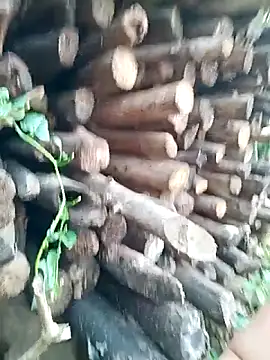 July-Asian online show from 04.16.26