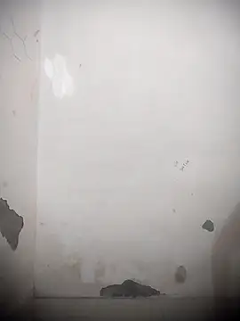 sassyy poonam online show from 10.11.25