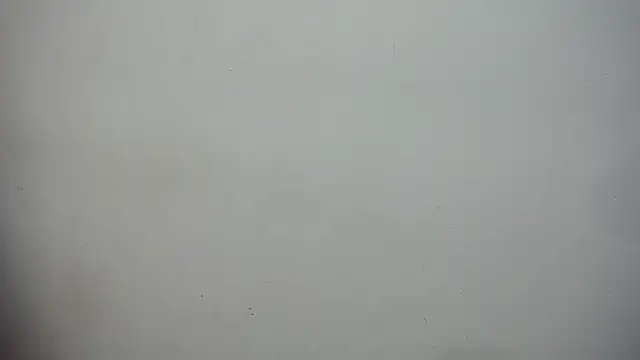 nenaa stg online show from 09.12.25