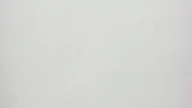 Saammy 17 online show from 09.20.25