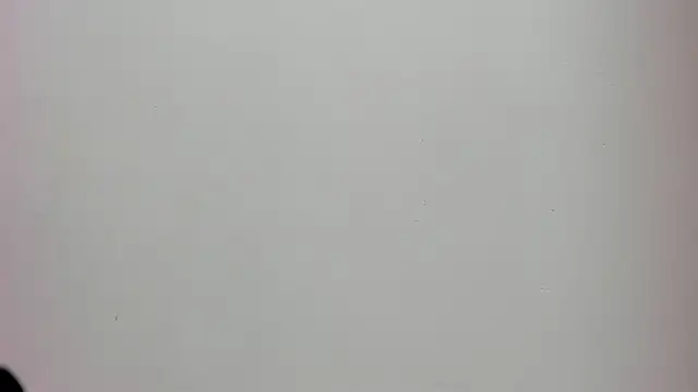 Saammy 17 online show from 10.02.25