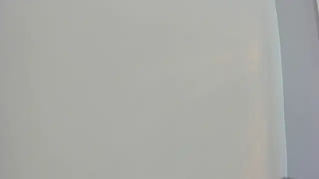 Saammy 17 online show from 10.04.25