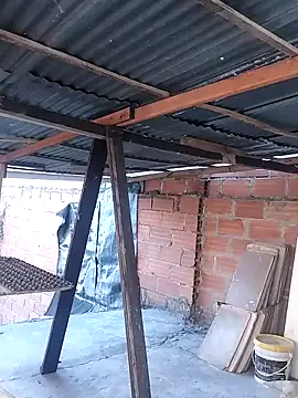 hoteder online show from 11.25.25