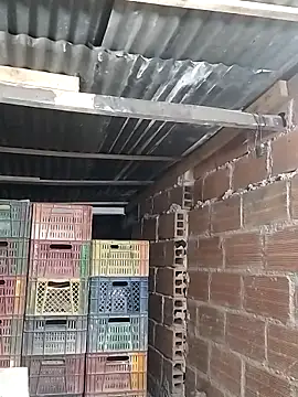 hoteder online show from 02.05.26