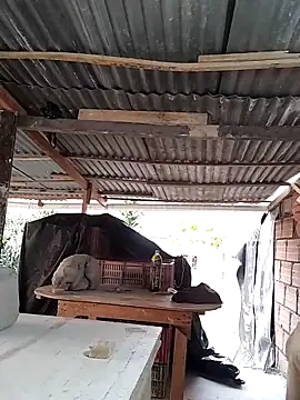 hoteder online show from 04.15.26