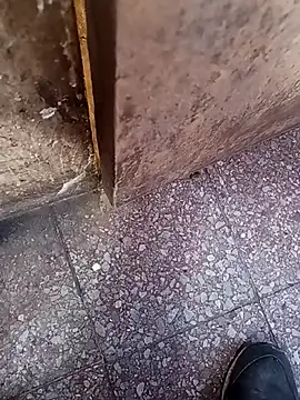 lucho2328 online show from 09.10.25