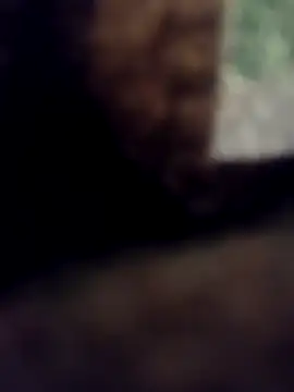 lucho2328 online show from 09.11.25