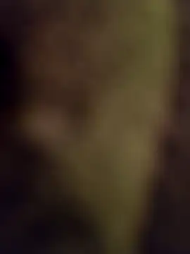 lucho2328 online show from 09.17.25