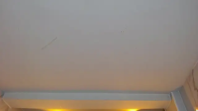 dania b  online show from 10.19.25