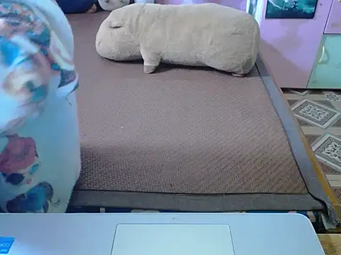 Snapshot of ahoa_Tk chatting on 11.04.25 ahoa Tk online show from 11.04.25