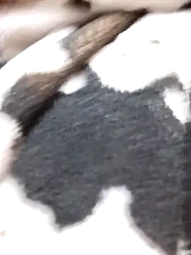 Laxmi 89 online show from 11.27.25