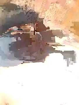 Forla-40 online show from 10.17.25