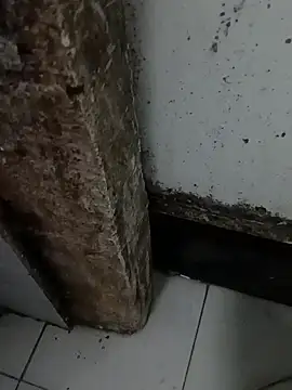 Snapshot of 69siuol chatting on 10.24.25 69siuol online show from 10.24.25