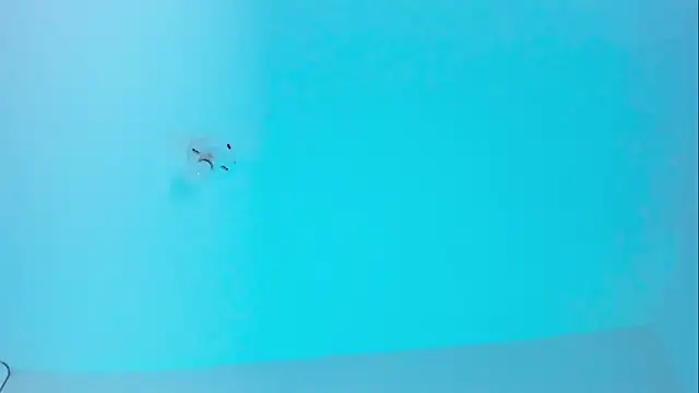 Snapshot of Ellope_ chatting on 11.19.25 Ellope online show from 11.19.25