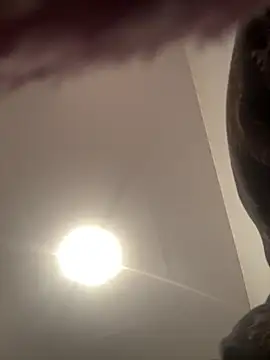 tok lo24 online show from 02.19.26