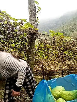 quynhkoolbae online show from 12.22.25