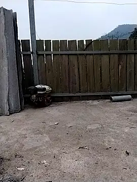 linda bae00 online show from 01.11.26