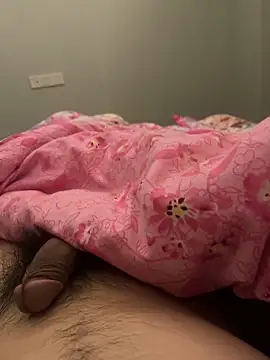 Hl1979 online show from 02.22.26