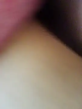 Hl1979 online show from 03.16.26