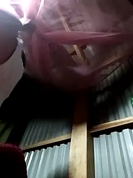 vivi cute online show from 10.17.25