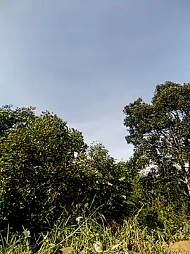 vivi cute online show from 10.30.25