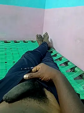 dolphiinn online show from 10.04.25