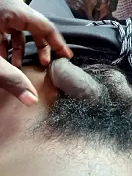 dolphiinn online show from 11.05.25