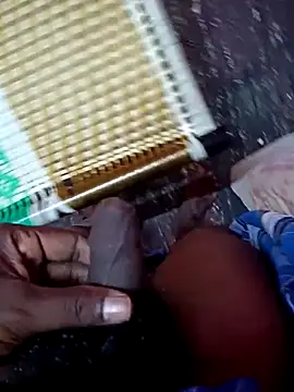 dolphiinn online show from 11.24.25