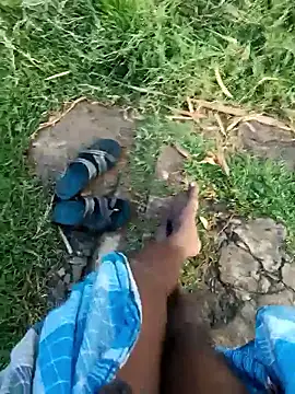 dolphiinn online show from 01.08.26