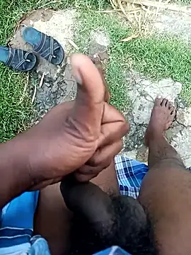 dolphiinn online show from 01.10.26