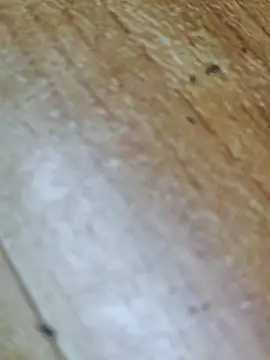 Markroco696 online show from 10.12.25